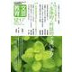 文芸教育121号<2020夏> [単行本]