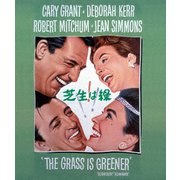 芝生は緑(スペシャル・プライス)