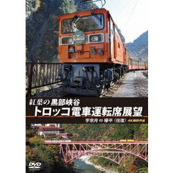 紅葉の黒部峡谷トロッコ電車運転席展望 宇奈月 ⇔ 欅平(往復) 4K撮影作品 [DVD]