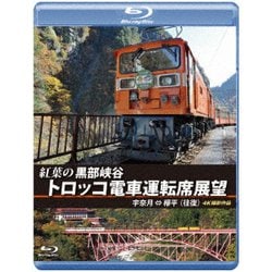紅葉の黒部峡谷トロッコ電車運転席展望 宇奈月 ⇔ 欅平(往復) 4K撮影作品 [Blu-ray Disc]