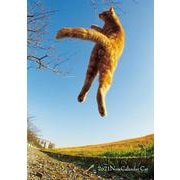 2021ノートカレンダー　ねこ [カレンダー]