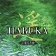 遥 HARUKA -言葉なき歌-