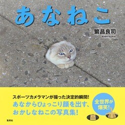 あなねこ [単行本]