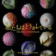 日本テレビ系水曜ドラマ 私たちはどうかしている オリジナル・サウンドトラック