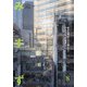 みすず 2020年 08月号 [雑誌]