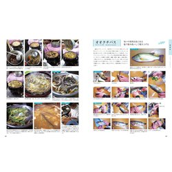 ヨドバシ.com - 日本産 魚料理大全 改訂新版 [単行本] 通販【全品無料