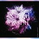 RAISE A SUILEN／Sacred world