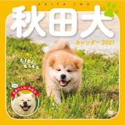 むくむくもふもふ秋田犬カレンダー 2021 [単行本]