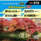 音多Station W [DVD]