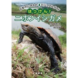 日本のいきものビジュアルガイド はっけん!ニホンイシガメ [図鑑]