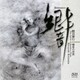 鯉沼廣行／響 鯉沼廣行 横笛の世界