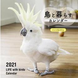 ヨドバシ Com 21年 大判カレンダー 鳥と暮らすカレンダー インコ オウム 誠文堂新光社カレンダー ムックその他 通販 全品無料配達