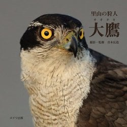 里山の狩人 大鷹 [単行本]