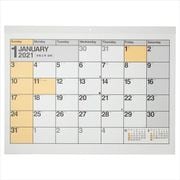 C113 NOLTYカレンダー壁掛け9 [2021年1月始まり]