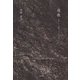 逃散―ふぞろいの面々 爪より公界へ [単行本]