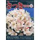 さつき研究 2020年 10月号 [雑誌]