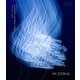 SCANDAL／SCANDAL WORLD TOUR 2020 "Kiss from the darkness" Livestream [Blu-ray Disc]