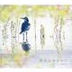 野鳥美を求めて [単行本]