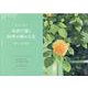 あべとしゆきポストカードブック　水彩で描く四季の静かな光－Water color postcard book [単行本]