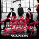 WANDS／BURN THE SECRET