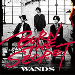 WANDS／BURN THE SECRET