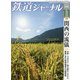 鉄道ジャーナル 2020年 11月号 [雑誌]