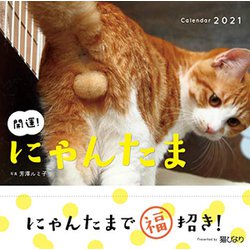 ヨドバシ.com - 2021 にゃんたまカレンダー [カレンダー] 通販