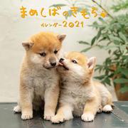 まめしばのきもちカレンダー 2021 [ムックその他]