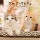 こねこのきもちカレンダー 2021 [カレンダー]
