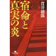 宿命と真実の炎(幻冬舎文庫) [文庫]