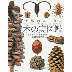 世界のふしぎな木の実図鑑 [単行本]