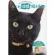 ホンネ特盛 猫川柳 （タツミムック） [ムックその他]