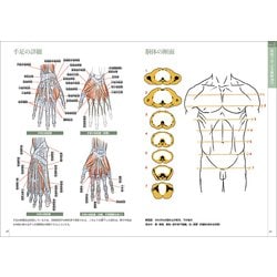 ヨドバシ.com - スケッチで学ぶ美術解剖学 [単行本] 通販【全品無料配達】