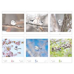 ヨドバシ Com まんまるかわいい雪の妖精シマエナガちゃん Calendar 21 単行本 通販 全品無料配達
