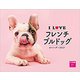 I LOVE フレンチブルドッグカレンダー2021 [カレンダー]
