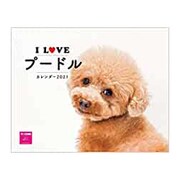 I LOVE プードルカレンダー2021 [カレンダー]