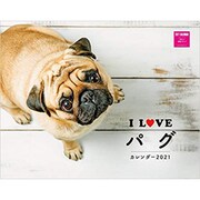 I LOVE パグカレンダー2021 [カレンダー]