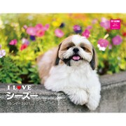 I LOVE シーズーカレンダー2021 [カレンダー]