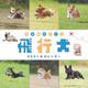 飛行犬カレンダー 2021 [カレンダー]