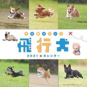 飛行犬カレンダー 2021 [カレンダー]