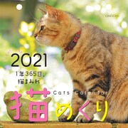 猫めくり 2021 [カレンダー]