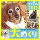 犬めくりリフィル 2021 [カレンダー]
