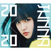 20×20