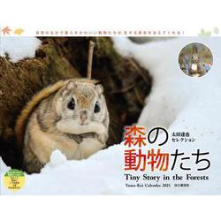 ヨドバシ Com 森の動物たちカレンダー 太田達也セレクション 単行本 通販 全品無料配達