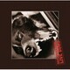 RED WARRIORS／LIVE DOGS