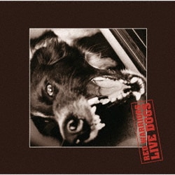 RED WARRIORS／LIVE DOGS
