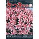 さつき研究 2020年 11月号 [雑誌]