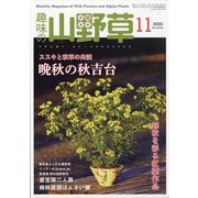趣味の山野草 2020年 11月号 [雑誌]