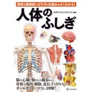 人体のふしぎ―精密な解剖図でカラダの仕組みがよくわかる! [単行本]