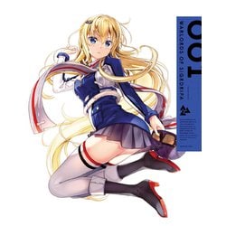戦翼のシグルドリーヴァ 001 [DVD]
